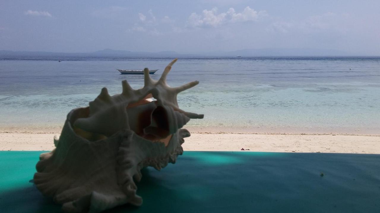 Shirley'S Cottage - Pamilacan Island Baclayon Exteriér fotografie